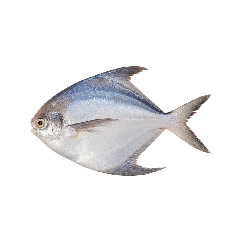 JB Rupchanda Whole Fish 800g