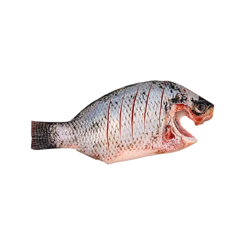 JB Tilapia Whole Fish Clean (500~600g)